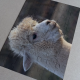 Puzzle magnetyczne z własnym zdjęciem / grafiką