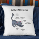 Anatomia kota  - poduszka na prezent