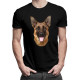 Shepard dog