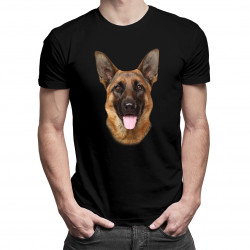 Shepard dog
