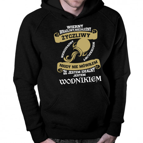 Jestem Wodnikiem - męska bluza z nadrukiem