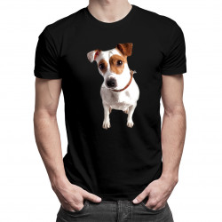 Jack Russell terrier