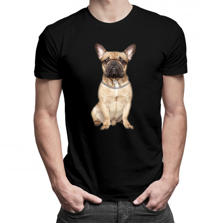 Buldog francuski (wersja 2)
