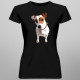 Jack Russell terrier